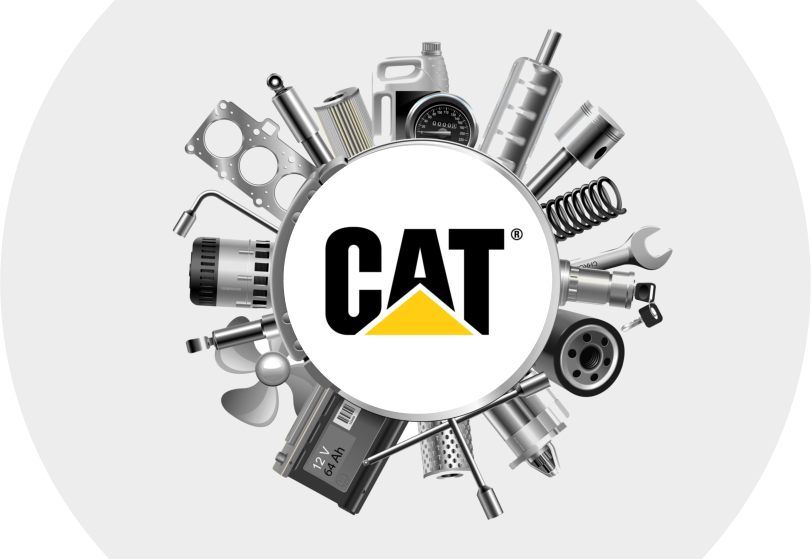 Оригинальные запчасти CATERPILLAR за короткий срок под заказ 